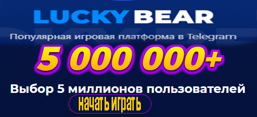 Lucky bear casino